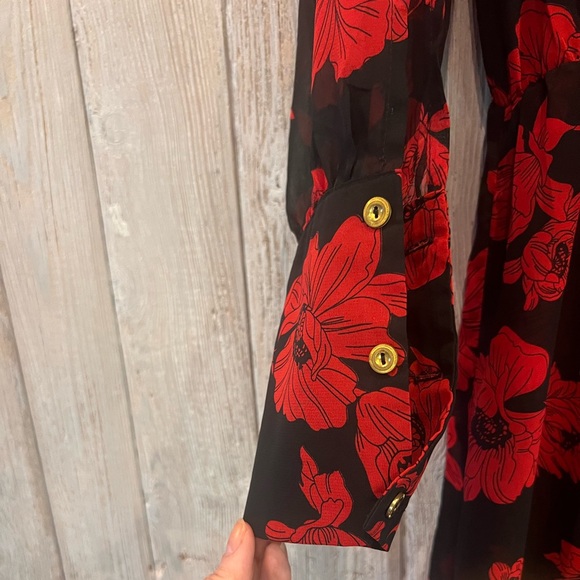 Miley+Molly Red/Black Floral Sheer Dress - Picture 4 of 10